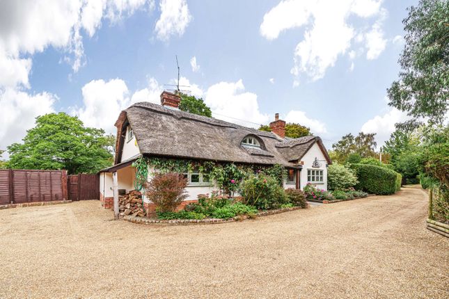 Thumbnail Detached house for sale in Upper Ifold, Dunsfold