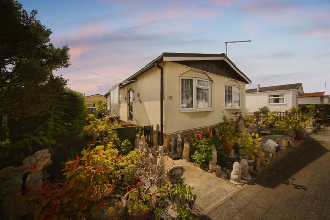 42, Little Meadow, Luton photo 2