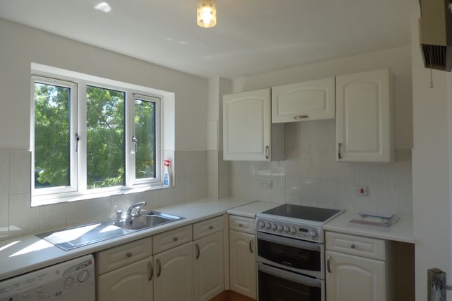 7, Kerby Rise, Chelmsford photo 4