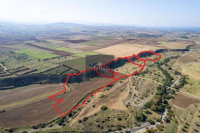 Thumbnail Land for sale in Kato Koutrafas 2770, Cyprus