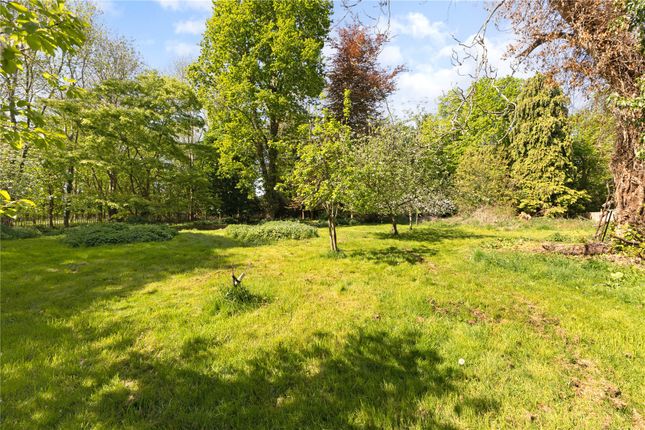 Orchard Garden
