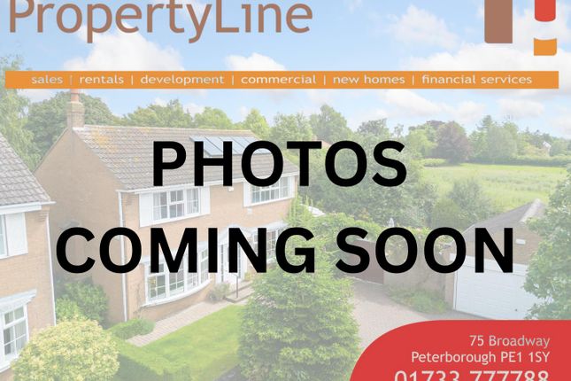 Photos Coming Soon (1).Png