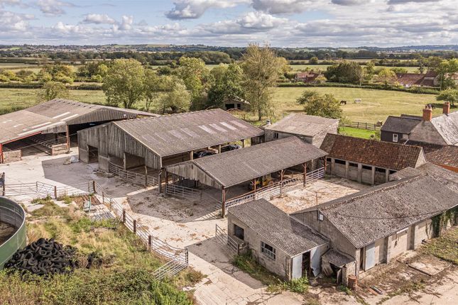 Church Farm, Glastonbury photo 4