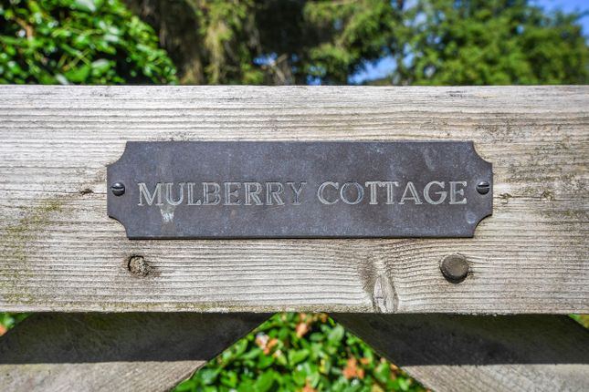 Mulberry Cottage, Harlow photo 2