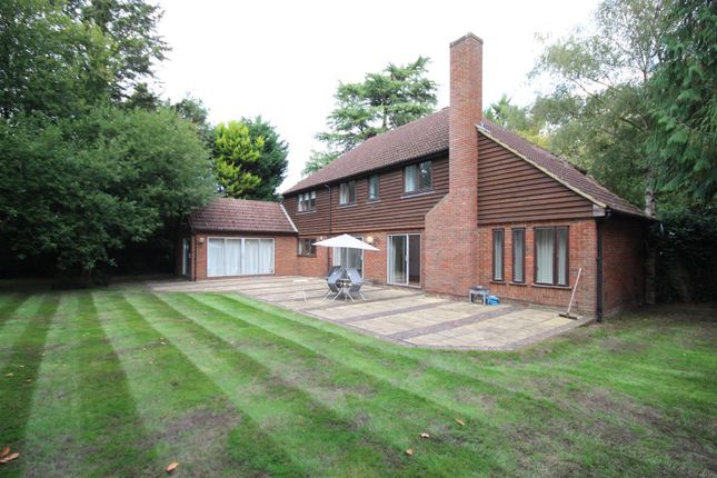 Thumbnail Property to rent in Littleworth Lane, Esher