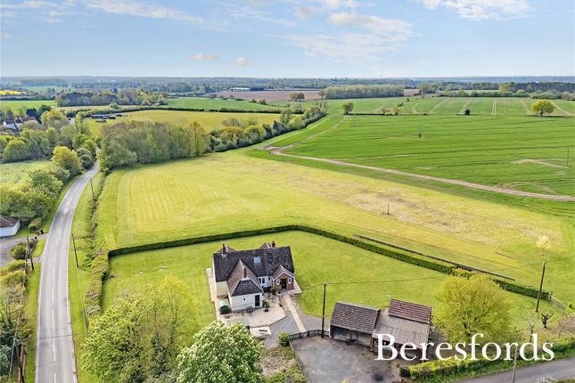 Thumbnail Detached house for sale in Blackmore End, Braintree