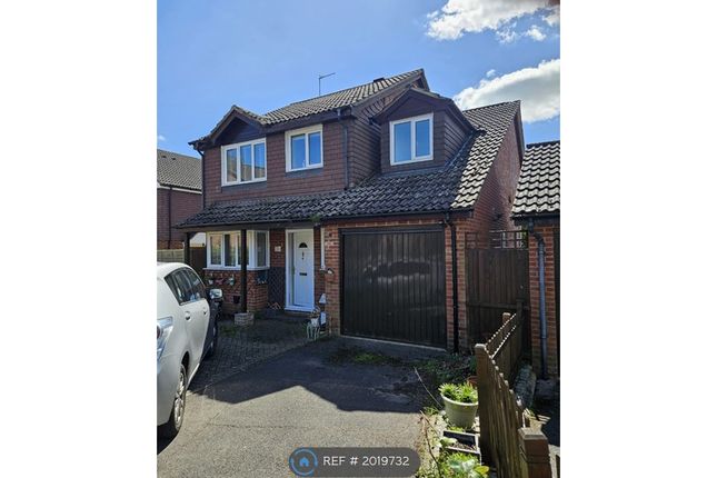 Thumbnail Detached house to rent in Longstock Close, Basingstoke