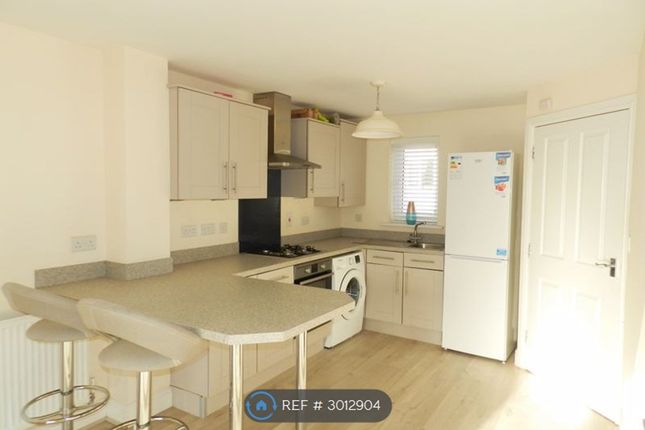 Bryn Y Telor, Coity, Bridgend photo 5