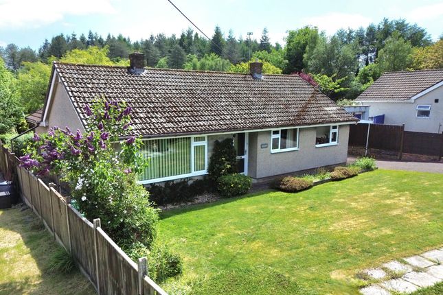 Thumbnail Detached bungalow for sale in Willows, The Purples, Coalway, Coleford