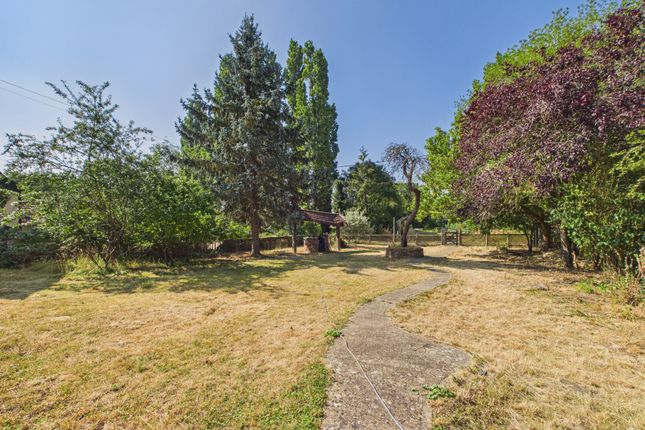 Rose Cottage, Fen Road, Diss photo 2