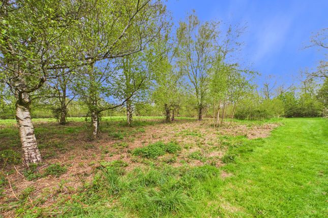 West Gosland Down,, Winkleigh, Devon photo 4