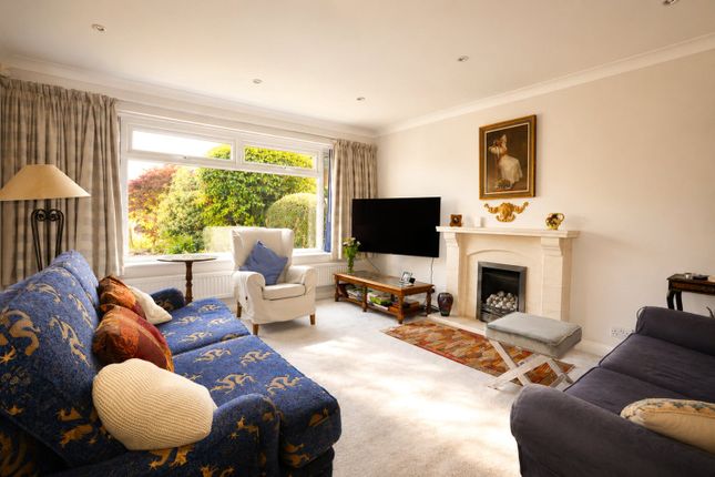 17, Parkfield, Godalming photo 2