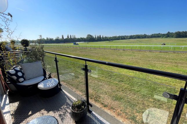 View From Balcony 2.Jpg