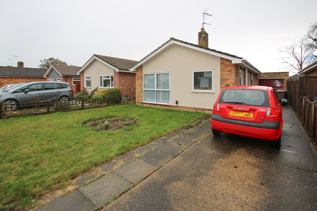 Detached bungalow to rent in Leaders Way, Newmarket CB8