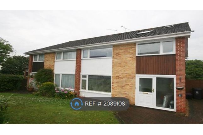 Thumbnail Semi-detached house to rent in Wentworth Crescent, Maidenhead