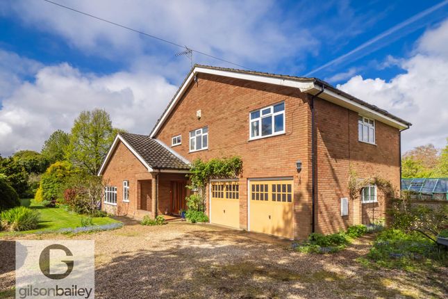 Thumbnail Detached house for sale in The Street, Brundall