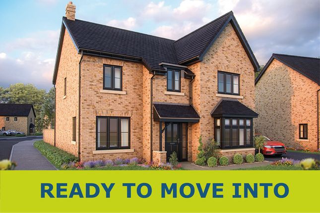 Detached house for sale in "The Birch" at Cotterstock Road, Oundle, Peterborough