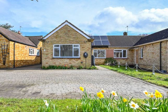 Thumbnail Bungalow for sale in Grangefields, Jacobs Well, Guildford
