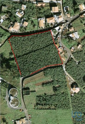 Thumbnail Land for sale in São Martinho, Funchal, Portugal