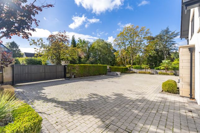 Driveway