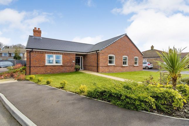 Thumbnail Detached bungalow for sale in Lowther Avenue, Moulton, Spalding