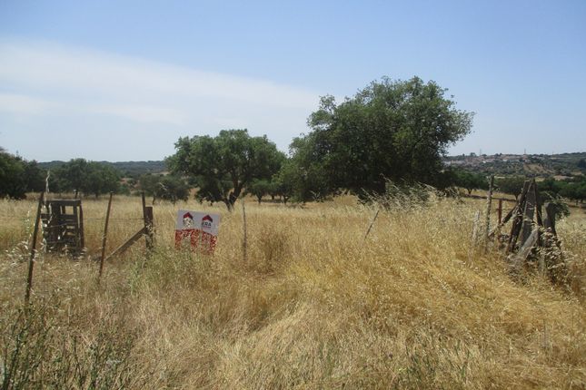 Land for sale in São Matias, Nisa, Portalegre, Alentejo, Portugal