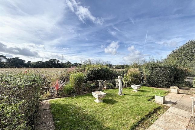12, Moonridge, Exeter photo 2
