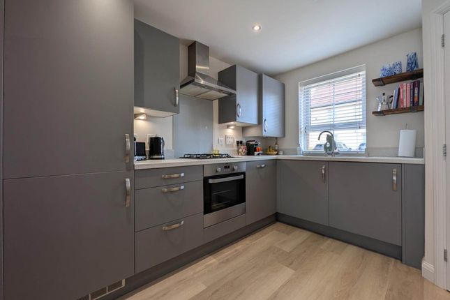 26, Buckle Way, Norwich photo 2