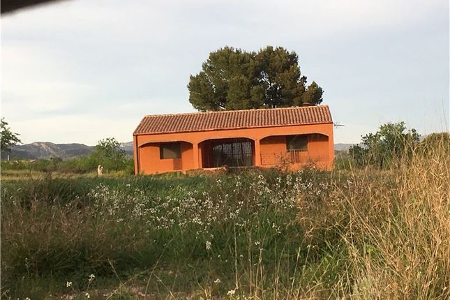 Thumbnail Country house for sale in Mora d Ebre, Tarragona, Catalonia, Spain