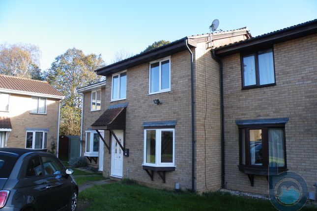 Thumbnail Terraced house to rent in Brailsford Close, Bretton, Peterborough