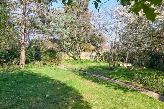 66, Gilbert Road, Cambridge photo 4