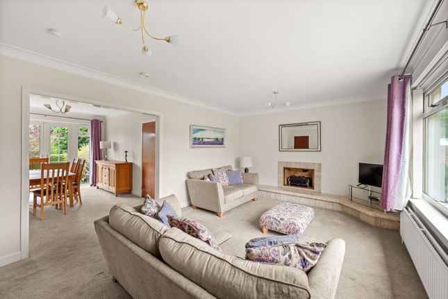 20 Albert Road, Dundee photo 3