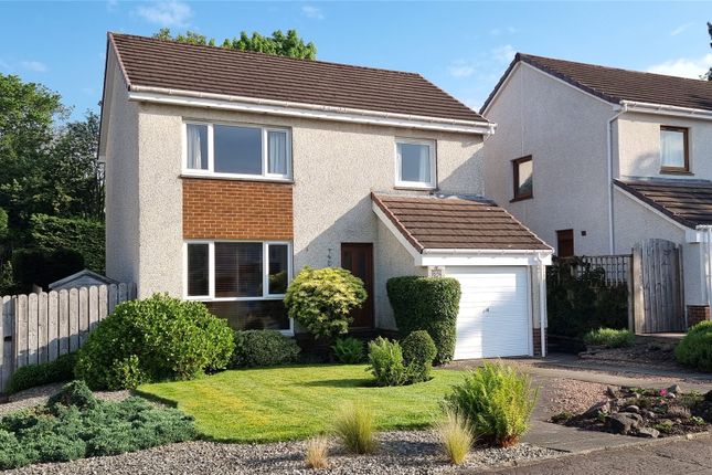 Thumbnail Detached house for sale in Coney Park, Stirling