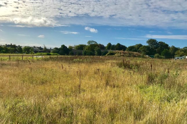 Thumbnail Land for sale in Hawthorn Close, Gretna