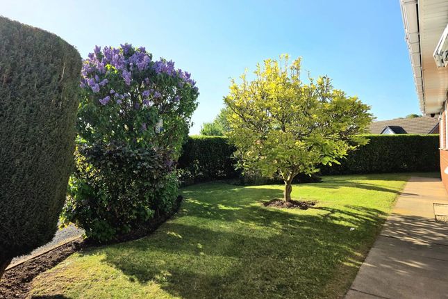 31 Newhall Road, Doncaster photo 3