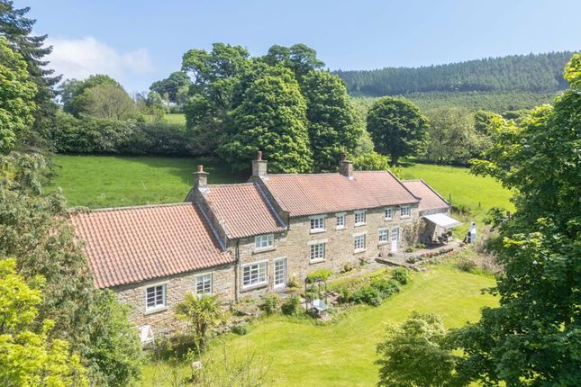 Featherholme Farm, Bilsdale, York photo 4