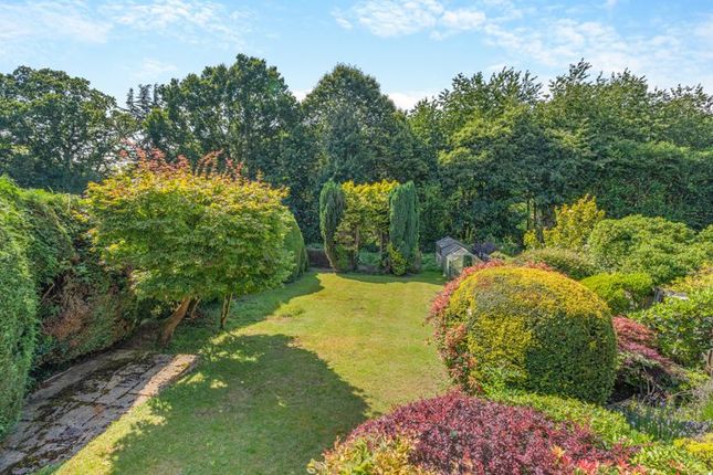 Meadside, Knob Field, Abinger Hammer photo 5