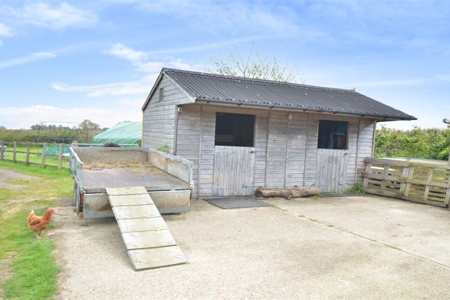 Equestrian property for sale in Adams Lane, Northiam, Rye