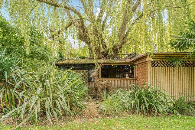 Outdoor Log Cabin / Bar