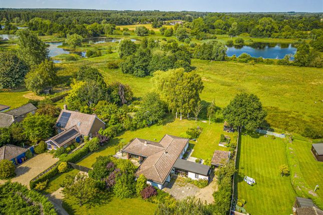 Thumbnail Detached bungalow for sale in The Green, Flempton, Bury St. Edmunds