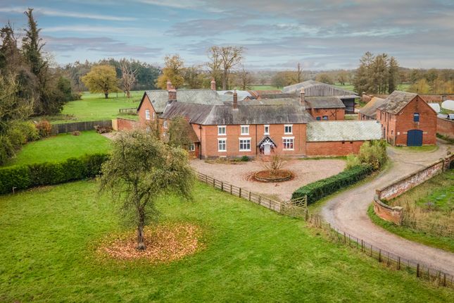 Img_73835_55_Original