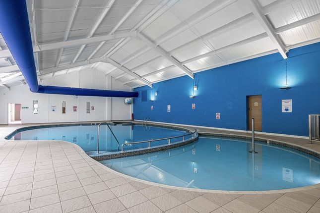 2023 Wales Brynteg Indoor Swimming Pool Empty (2)