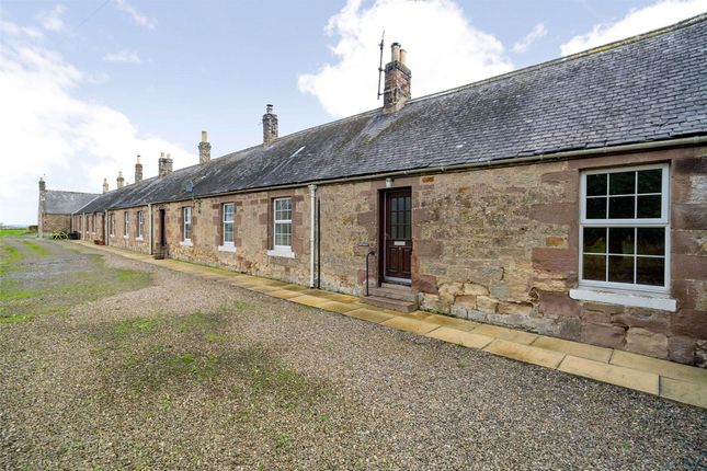 6 Little Swinton Farm Cottage, Coldstream photo 2