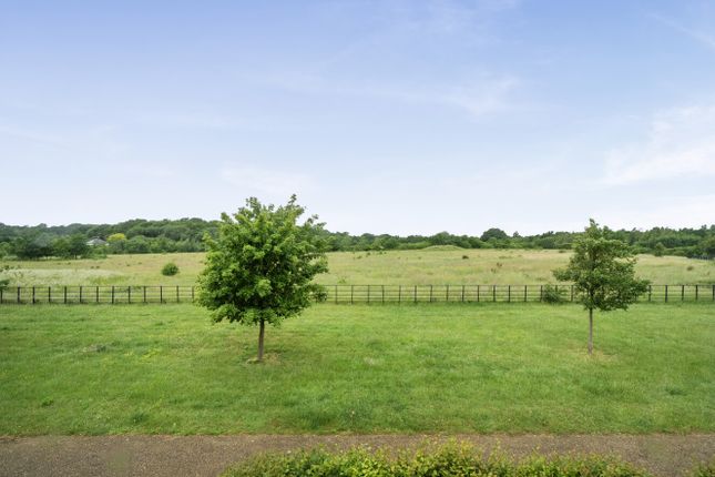 104, Violet Way, Ashford photo 2