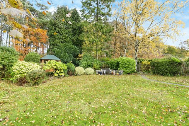 Detached bungalow for sale in Pineheath Road, High Kelling, Holt