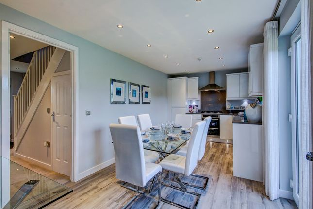 Detached house for sale in "The Thornton" at Hillcrest Square, Falkirk