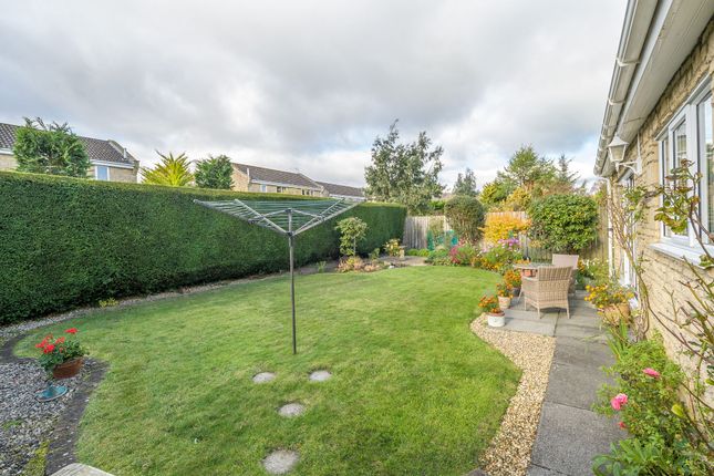 28 Whitegates, Morpeth photo 2