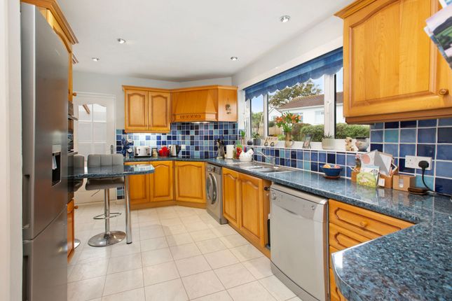 9 Maudlin Drive, Teignmouth photo 4