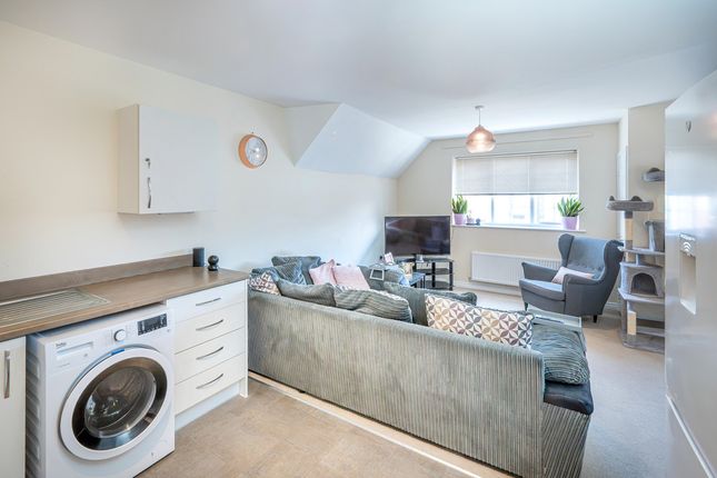 Jasmine Square, Reading photo 2
