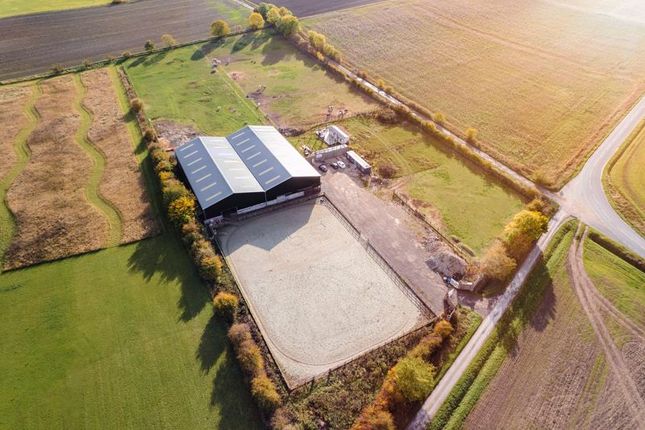 Thumbnail Equestrian property for sale in Carr Lane, Crowle, Scunthorpe